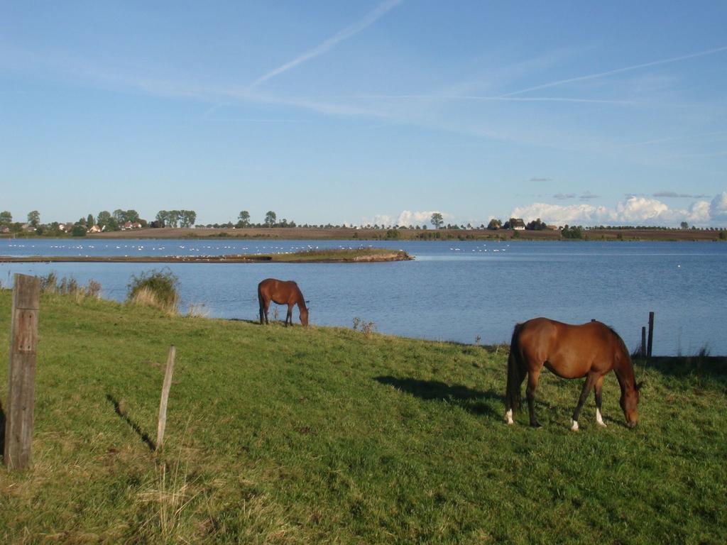 Appartementanlage Zur Seemoewe Poel Extérieur photo